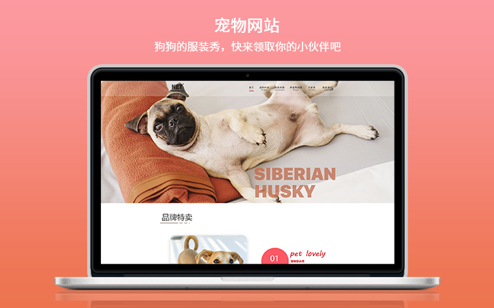 手机/平板/PC网站开发|企业网站建设|网页设计