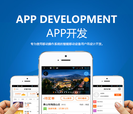 ios安卓java手机PHP电商城app定制开发制作设计